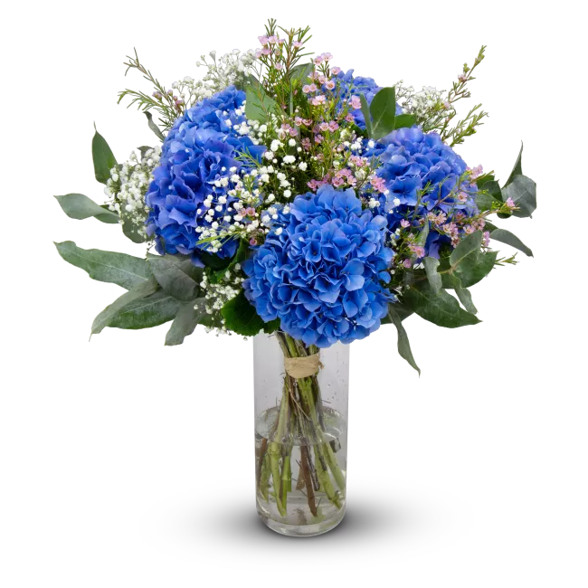 Bouquet of hydrangeas